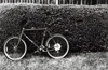 Bike and Hedge in D.C by Kathy Douglas